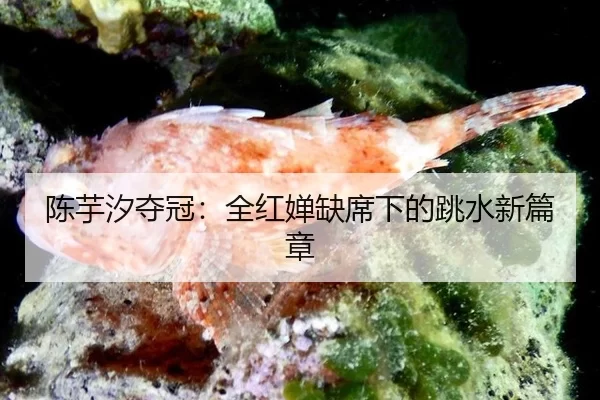 陈芋汐夺冠：全红婵缺席下的跳水新篇章