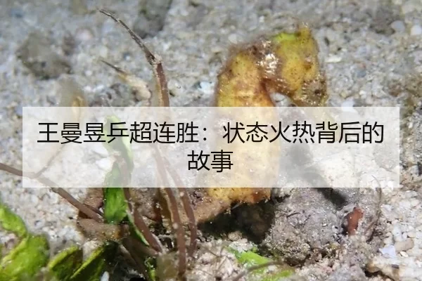 王曼昱乒超连胜：状态火热背后的故事